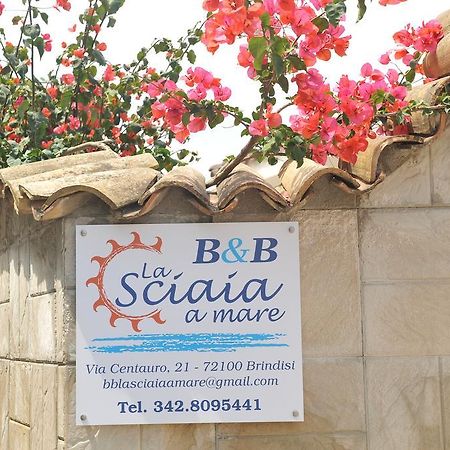 B&B La Sciaia A Mare Brindisi Exteriör bild